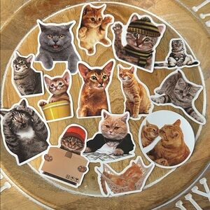 🟢 3$/30 Cute Cat Sticker Set NEW x14 tabby grey orange in hat, hammock
